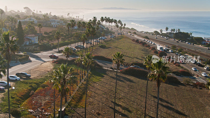 无人机拍摄的棕榈树投下长长的阴影在Encinitas, CA